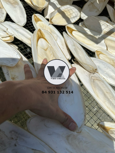 กระดูกปลาหมึกแห้งขายส่ง – อาหารเสริมแคลเซียมจากธรรมชาติ - Product Image 1