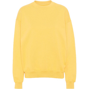Custom Women's Eco-Friendly Windproof Breathable 220g Knitted 100% Cotton Fleece Oversized Crew <b>Neck</b> Solid Sweatshirt - Product Image 1