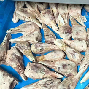 Cabeza de Pato Congelada de Primera Calidad, Venta al Por Mayor, Suministro a Granel, Lista para Enviar, Grado Alimenticio, Exportación Global - Product Image 6