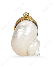 Pochette de soirée en coquillage naturel Turbo Shell avec cadre doré, sac à main de luxe au style côtier pour l'exportation OEM - Product Image 2