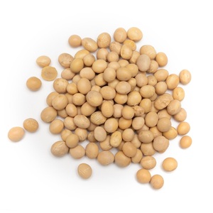 Soja jaune de qualité alimentaire et de germination facile, graines de soja sèches de qualité supérieure, soja non-OGM - Product Image 5