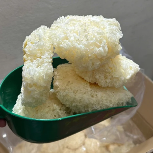 Champignon Tremella séché blanc, ingrédient pour les recettes de plats sucrés, production de boissons, Vietnam - Product Image 6