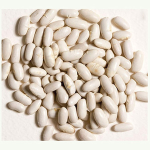 Producto Agrícola 100% Orgánico y Natural, Frijoles Blancos Grandes, Crudos y Secos - Product Image 2