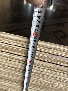 Panneau de coffrage filmé en bois dur d'eucalyptus et d'acacia pour la construction - Product Image 6