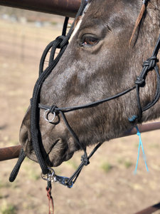 Corde de trelage pour cheval avec logo personnalisé et accessoires en laiton, multicolore, équipement d'équitation tout-terrain - Product Image 5