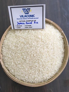 Nueva Cosecha 2026 Arroz Vietnamita Aromático Calrose Sushi Redondo Japonica Blanco Duro Seco para Comida y Cocina +84398885178 - Product Image 6