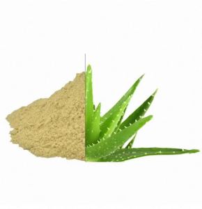 Poudre de feuilles d'aloe vera en vrac pour ingrédient de crème et lotion, fournisseur en gros de poudre de feuilles d'aloe vera pour ingrédient cosmétique de sérum - Product Image 1
