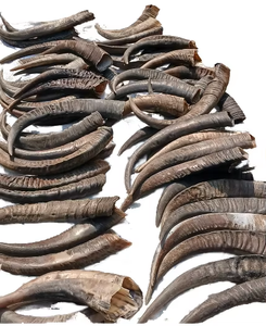 High Quality Organic Carved Animal Water Buffalo Horn Dog Chews in Antique Style in Small Medium <b>Large</b> Sizes - Product Image 1