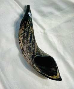 Cuerno de Carnero Kosher, Semipulido, Shofar |   Auténtico Cuerno de Shofar de Israel |   Corneta Judía, Chofar Original de Israel. - Product Image 3