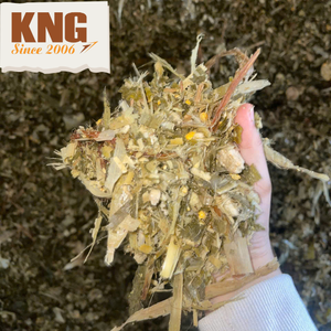 Silage de maïs, Silage de maïs riche en nutriments, Silage de maïs pour le bétail, Silage de maïs fermenté pour l'alimentation animale - Product Image 3