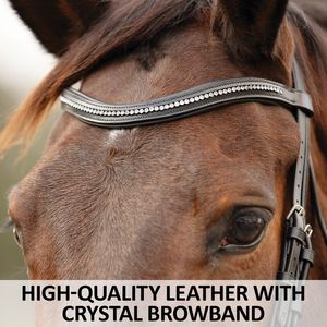 Bridle Horse Dressage Bridle Handmade Genuine Padded Leather Horse Dressage Bridle from Direct Factory - Product Image 5