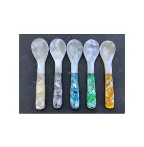 ช้อนเปลือกหอยที่เป็นมิตรต่อสิ่งแวดล้อมลายสัตว์ขัดเงาทำด้วยมือสำหรับตกแต่งวันหยุดและเป็นของขวัญ - Product Image 1