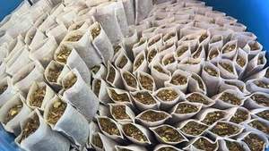 Producto de masaje de compresa de hierbas tailandesas, aplicación corporal de 200g, embalaje transparente con logotipo privado hecho en Tailandia - Product Image 6