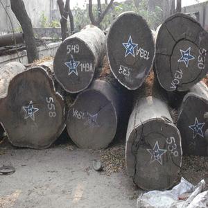 Natural Eucalyptus Wood <b>Logs</b> Oak <b>Eco</b>-friendly Wholesale for Decorative Craft Applications Household Appliances Round - Product Image 5