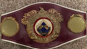 Ceinture de lutte en cuir Championship XPE avec une épaisseur de 2 cm, doublure écologique imperméable et respirante pour la boxe et les arts martiaux - Product Image 2