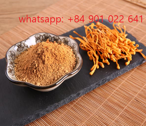 ETIQUETA PRIVADA DE CAFÉ DE SETAS DE ALTA CALIDAD OEM: MEZCLAS INSTANTÁNEAS CON SETAS MEDICINALES PARA SU MARCA - Product Image 4