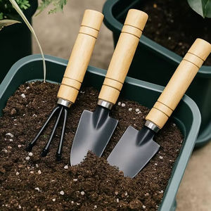 Ensemble d'outils de jardinage miniatures avec manche en bois et têtes métalliques pour le rempotage et l'entretien des plantes en intérieur et en extérieur - Product Image 1
