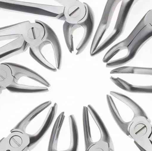 Forceps dentaires manuels en acier inoxydable allemand de haute qualité pour l'extraction des dents – Instruments chirurgicaux pour dentistes - Product Image 2