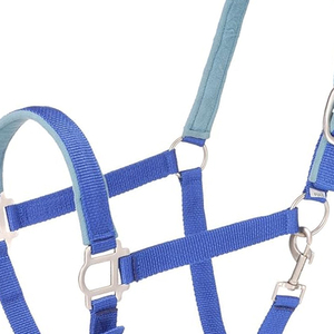 Cabestros para Caballos al por Mayor, Productos Ecuestres, Cabestros para Caballos con Equipo de Alta Calidad, Cabestros para Montar a Caballo - Product Image 6