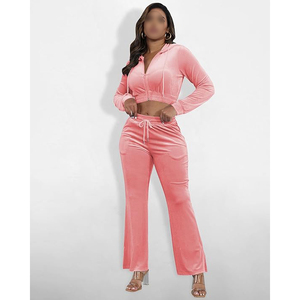 Conjunto de Sudadera Corta de Terciopelo Rosa y Pantalones Jogger con Cremallera Completa, Manga Larga, Ajuste Holgado, Chándal Casual de Dos Piezas para Mujer - Product Image 3