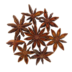 Épice à l'anis étoilé de printemps adaptée aux commerçants d'épices et aux distributeurs à l'exportation - Product Image 3