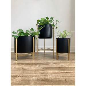 Jardinière industrielle en métal noir avec support en fer doré, style nordique, pot à succulentes, résistant aux intempéries, pour intérieur et extérieur - Product Image 2