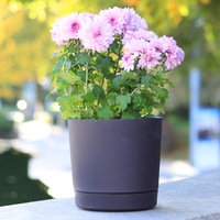Pot de fleurs rond en plastique GT20 résistant aux UV avec plateau assorti pour roses chinoises, succulentes et balcon