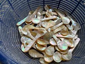 Cuillère à coquillages fabriquée à la main à partir de coquillages naturels au Vietnam, parfaite pour le caviar servant une dégustation de sel ou les paramètres de table décoratifs - Product Image 6