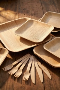 Plat de service carré robuste en feuille de palmier de 7 pouces, sans produits chimiques, pour la présentation culinaire gastronomique, la table et les occasions spéciales - Product Image 1
