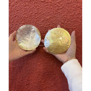 จานมุก, จานเสิร์ฟเปลือกหอยธรรมชาติ, อุปกรณ์ครัวทำมือ, ของขวัญเครื่องครัวที่ไม่เหมือนใคร, ที่ใส่เครื่องประดับมุก - Product Image 3
