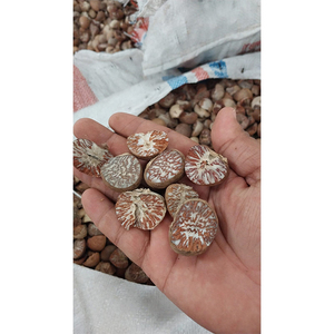 Vendita Esclusiva di Noci di <span class=keywords><strong>Betel</strong></span> di Alta Qualità, Sfilettate e Tagliate, Disponibili in Grandi Quantità per Uso Alimentare e Culturale - Product Image 1