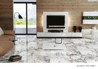 Carrelage en porcelaine brillant Elitex 600x1200, grand format, surface polie de qualité supérieure, pour murs et sols, design moderne intérieur/extérieur Plus