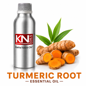 Steam Distilled Turmeric Root <b>Essential</b> <b>Oil</b> 100% Pure Organic Certified Curcuma longa Bulk Manufacturer Global Exporter - Product Image 1