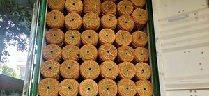 Corde en fibre de coco premium, corde de jardin biodégradable résistante pour arbres, légumes, arbustes et serres, à assembler - Product Image 6