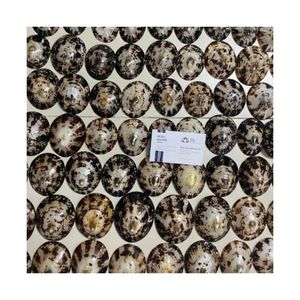 Conchas de Limpet Seleccionadas de Alta Calidad 2026 para Decoración de Mesa de Boda en la Playa, Conchas Marinas Puras, Limpias, Seguras, Accesorios Costeros Elegantes S - Product Image 6