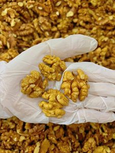 Nueces sin Cáscara Secas Crudas de Primera Calidad, Mitades Extra Claras, Grado A, Suministro a Granel, Calidad de Exportación, Nueva Cosecha - Ms. Tarina - Product Image 2