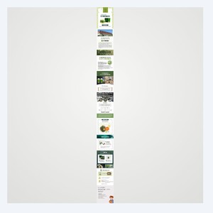 Koreanische Schönheitspflegeprodukte K-Beauty Korea Chlorella-Tabletten 300mg x 500 Tabletten 1-Monats-Vorrat Hergestellt in Korea - Product Image 3