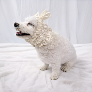 HEDYS GROOMING Adjustable <b>Dog</b> Grooming Ear Protection Hood for <b>Bathing</b> Drying Noise Reduction Pet Ear Cover Snood Ivory Small - Product Image 1