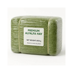 Foin d'alfalfa à vendre à des prix de gros compétitifs pour les fournisseurs d'aliments pour bétail - Product Image 1