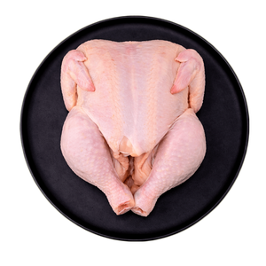 Pollo Entero Congelado al por Mayor, Certificado Halal, Pollo Fresco Congelado de Primera Calidad para Exportación, Suministro a Granel - Product Image 1