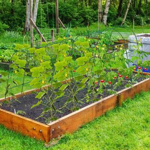 Grande Arche de Jardin en Fer Premium en Forme de U, Réglable de 15,7 à 45,2 pouces, Complète d'Accessoires pour Plantes Grimpantes - Product Image 4