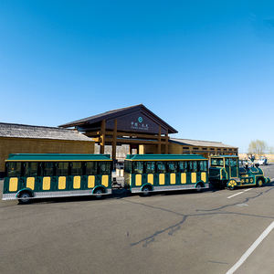 Autobús Turístico Aodudu Carnival <span class=keywords><strong>de</strong></span> 72 Asientos, Vagón Abierto, Tren sin Rieles Diésel para Atracciones - Product Image 1