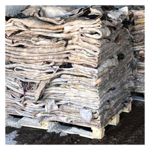 Peaux de vache salées séchées en gros pour les usines de l'industrie du cuir et les unités de tannerie à l'échelle mondiale - Product Image 3