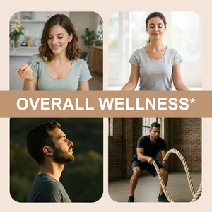 OEM/ODM Customizable GLP Herbal Dietary <b>Supplement</b> Capsules for Daily Nutritional & Wellness Support | Custom OEM Packaging - Product Image 4