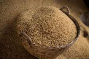 CASQUILLO DE ARROZ MULIDO BUENO PARA ALIMENTACIÓN ANIMAL _ PRECIO MÁS BARATO 2025 - Product Image 6