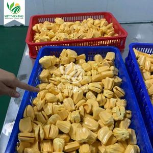 Jackfruit surgelé IQF du Vietnam, qualité alimentaire, fruit tropical pour l'exportation, vente en gros, approvisionnement en vrac - Product Image 3