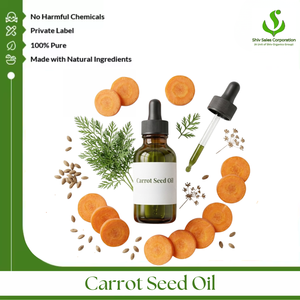 Proveedor de Aceite de Semilla de Zanahoria de Alta Calidad que Ofrece Envases de Aceite Esencial a Granel para la Fabricación de Cosméticos, Cuidado y Belleza - Product Image 1