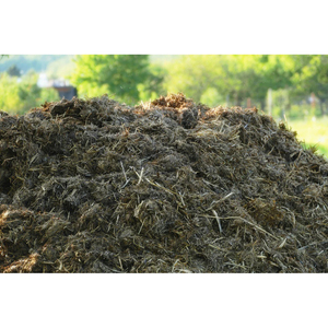 ปุ๋ยมูลวัวพรีเมียมสำหรับการเพาะปลูกแบบออร์แกนิก เพื่อบำรุงดินและส่งเสริมการเจริญเติบโตของพืชให้แข็งแรง - Product Image 5
