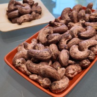 Vietnamesische Gesalzene Geröstete Cashewnüsse Klasse WW320 Bio Premium-Qualität USDA-Zertifiziert für Exportmärkte OEM / ODM Service