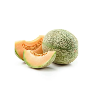 OCEAN LINK EXIM Melon d'été frais, naturellement sucré et juteux, qualité A, pour l'exportation en gros - Product Image 3